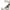 White, variant on Splozh Kids Boy's Casual Dress Shoes Oxford Comfort Walking Fashion Sneaker(Toddler/Little Kid/Big Kid),Black 9.5
