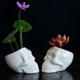 thumbnail image 2 of Jardinero de cerámica ARTIFICIAL perfecl cabeza de CRÁNEO decoración Halloween, 2 of 8