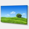 thumbnail image 2 of Calm Meadow with Single Tree - Landscape Canvas Art Print, 2 of 3