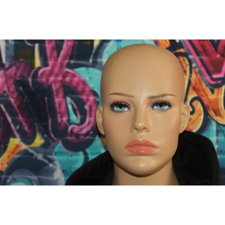 Canvas Print Human Woman Model Face Graffiti Bald Head Pretty Stretched Canvas 10 x