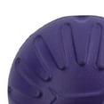 thumbnail image 3 of 3PK Large Interactive Play Durafoam Dog Puppy Ball Floating Toy-Assorted Colour, 3 of 7
