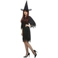 thumbnail image 3 of Smiffys Womens Spooky Witch Costume, 3 of 4