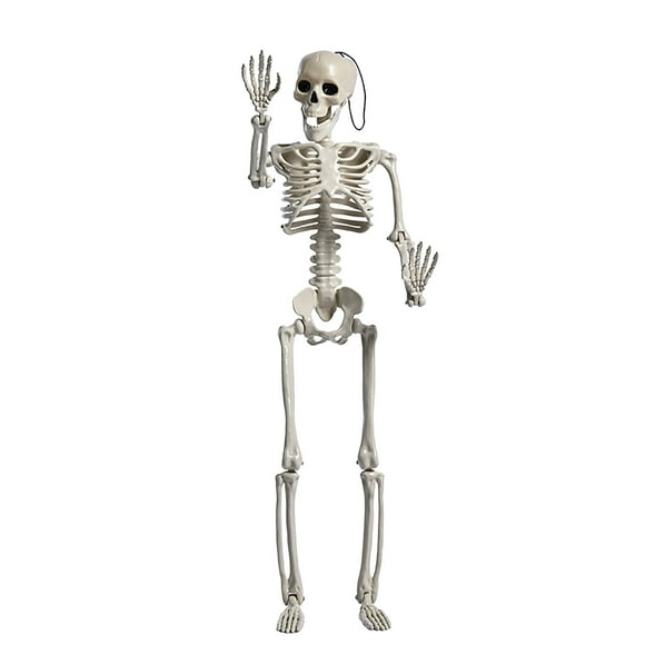 Dvkptbk Halloween Party Skeletons Full Body Posable Joints Skeletons Novelty Funny Toys