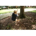thumbnail image 2 of Classic Swing Disc, 2 of 2