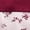 Maroon, variant on Girls 2Pk Boybrief, Sizes XS to XXL