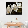 thumbnail image 2 of JEUXUS Floral Canvas Wall Art White Orchid Picture Print Black and White Flowers Painting Aesthetics Artwork for Living Room Bedroom Bathroom Office Home Decor Framed(Flowers-2), 2 of 6