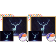 thumbnail image 1 of 5D DIY Taladro Parcial AB Ciervo Kit Artística 55x45cm, 1 of 9