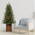 thumbnail image 4 of Haute Decor 4.5 Foot New Haven Fraser Fir Pre-Lit Potted Tree, 4 of 5