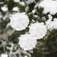 thumbnail image 3 of Bola de Navidad blanca de 8cm, adorno de árbol de Navidad, decoraciones navideñas para el hogar, bolas de espuma decorativas para árbol de Año Nuevo, 3 unids/lote por caja, 2023, 3 of 4