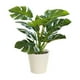 thumbnail image 2 of Plantas artificiales de Monstera Deliciosa en maceta | Decoración con suculentas artificiales, 2 of 6