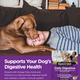 thumbnail image 2 of Nutri-Vet Daily Digestive for Dogs - 30 Day Supply, 2 of 6