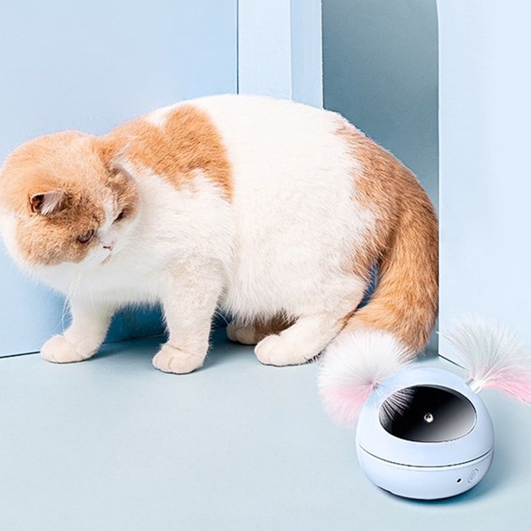 Trixie Ceramic Cat Bowl, 0.25 Litre - White, Hard To Tip Over, Dishwasher Safe