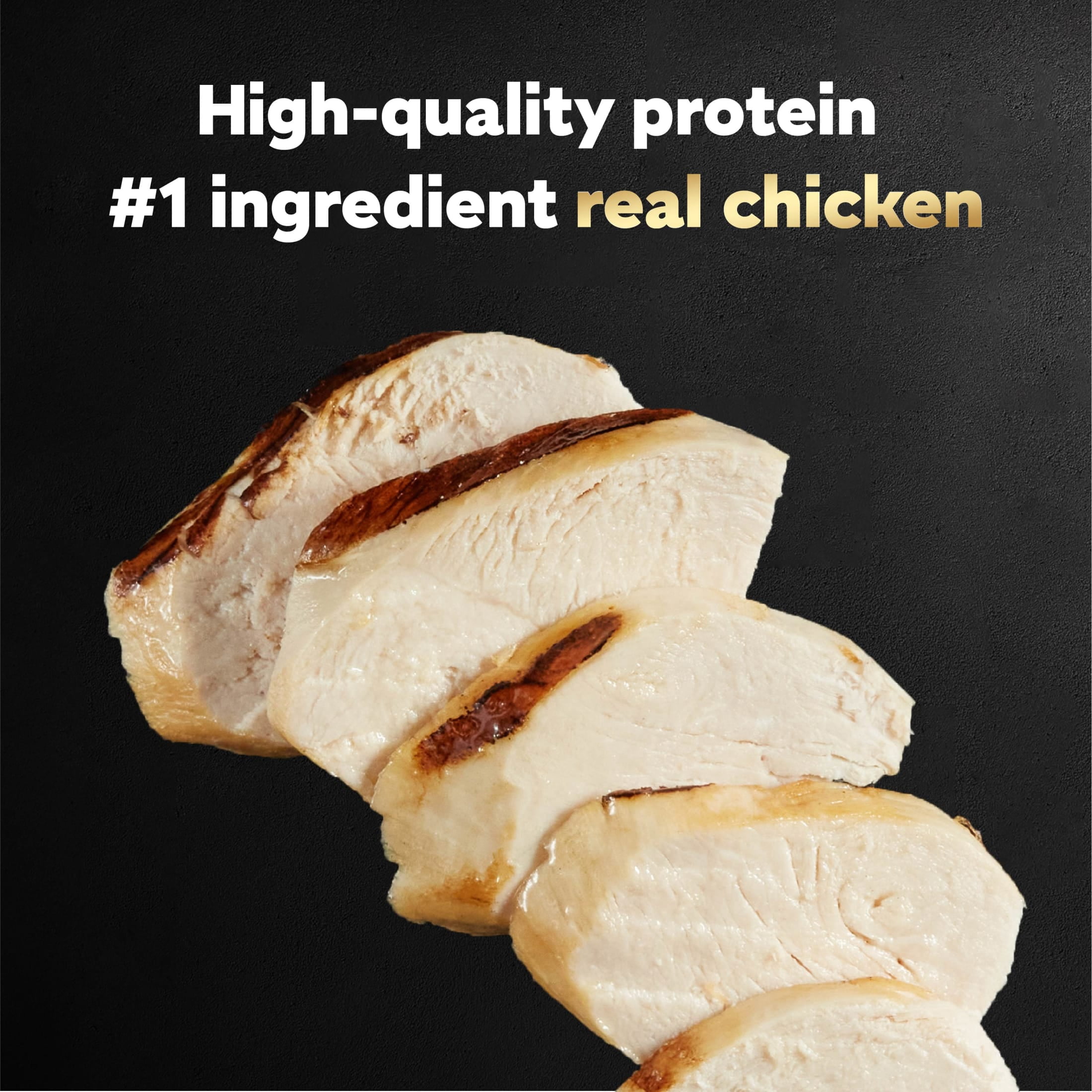 Cesar Filets in Gravy Wood-Grilled Chicken Flavor Wet Dog Food, 1.76-oz Mini-Pouches