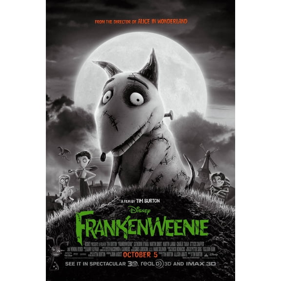 Frankenweenie Movie Poster 24inx36in (61cm x 91cm) Art Poster 24x36 Square Adults Best Posters