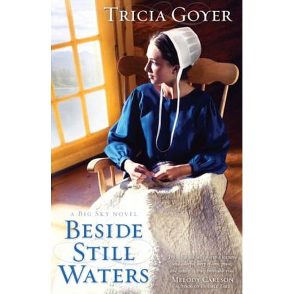 Pre-Owned Beside Still Waters: A Big Sky Novel (Paperback) 1433668688 9781433668685