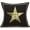 Star 05, variant on Cinema Decor Decorative Pillow Covers Movie Theater Cotton Linen Throw Pillow Covers Square Black and White Cushion Cover Outdoor Home Decor for Men Women 18x18 Inch (Cinema 04)