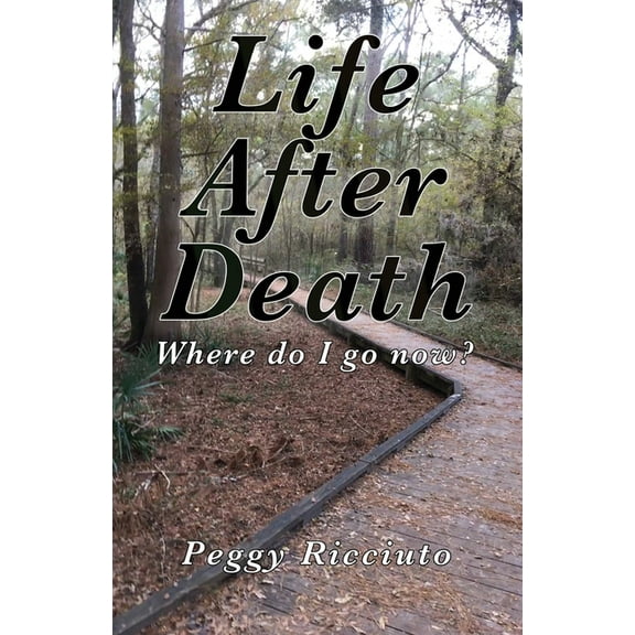 Life After Death: Where do I go now, (Paperback)