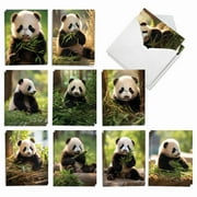 The Best Card Company 20 Assorted Blank Notecards Boxed Set 4 x 5.12 Inch with Envelopes (10 Designs, 2 Each) Panda Pups AM10041OCB-B2x10