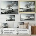 thumbnail image 4 of Designart "Stunning Monochrome Lake Tree" Lake Floater Framed Wall Art Prints, 4 of 5