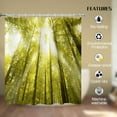 thumbnail image 3 of Sunshine Birch Forest Shower Curtain Nature Jungle Landscape Shower Curtains for Bathroom Decor, Waterproof Polyester Fabric Shower Curtain 72x72 Inch with 12 Hooks, 3 of 6