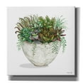 thumbnail image 1 of Epic Graffiti 'White Wood Succulent III' by Cindy Jacobs, Canvas Wall Art, 37"x37", 1 of 2