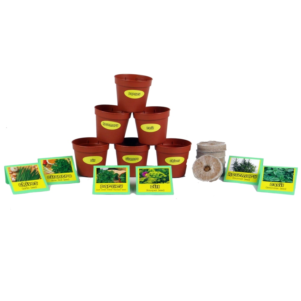 Chef's Herb Garden Seed Starter Kit
