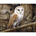 thumbnail image 1 of Nocturnal Elegance - DIY Diamond Painting, 1 of 6