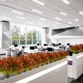 thumbnail image 4 of JM 4 piezas de plantas artificiales al aire libre, paquetes de flores falsas, gloria de la mañana, arbustos verdes, arbustos, plantas, flores de plástico, hogar, oficina, jardín, patio, decoración JM, 4 of 5
