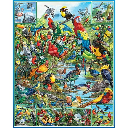 White Mountain Puzzles Birdwatcher Jigsaw Puzzle, 1000-pieces