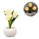 thumbnail image 5 of Luz nocturna de tulipán, luz suave, cerámica exquisita, lámpara de mesa de flores de PU para librerías, cafeterías, Base de cerámica alimentada por batería, color blanco, 5 of 12