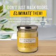 Odor Eliminating Candle Air Freshener Eliminates Cooking, Cigarette