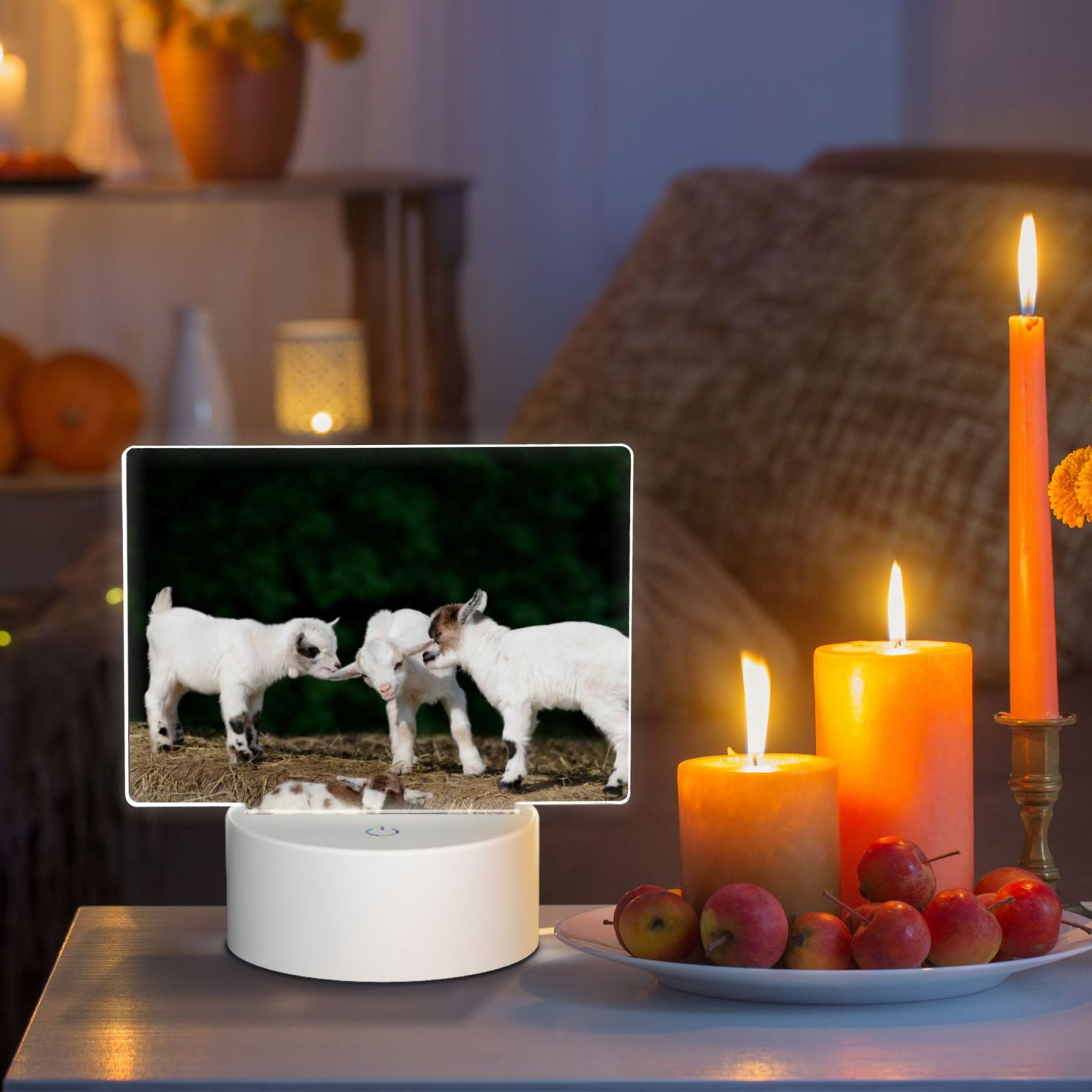 Hirioo Cute Goat Baby for Rectangular Acrylic with Night Light Best Gifts for Lover Girl Mom, Valentine's Day Anniversary Birthday Wedding Present