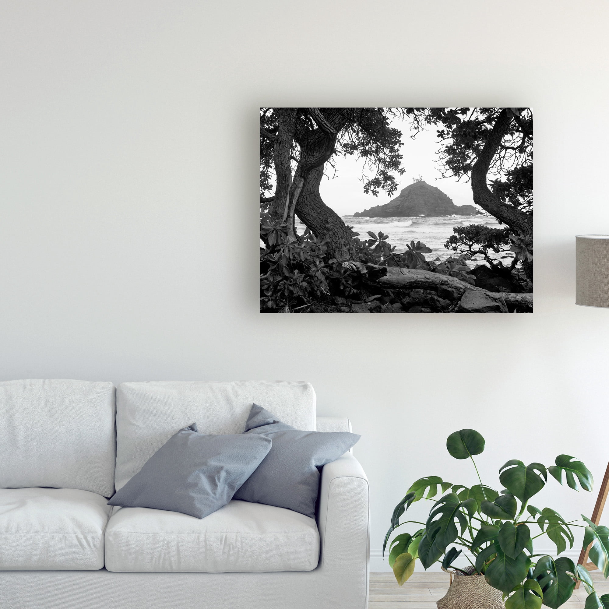 Trademark Fine Art 'Long Hanna Drive Maui Hawaii' Canvas Art by Monte Nagler
