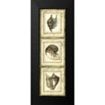 thumbnail image 2 of Vision Studio 7x14 Black Modern Framed Museum Art Print Titled - Mini Rustic Shell Panel II, 2 of 5