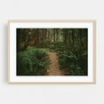 thumbnail image 2 of Happy Trails - Oregon Photography Unframed Wall Art Print 5 x 7 inches, 2 of 7