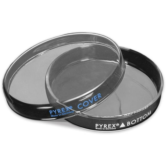 Pyrex, Petri Culture Dish, 100 X 10 Mm