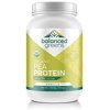 Raw Vegan Pea Protein Powder – 20 g. of Certified-Organic, Plant Based Protein Powder with BCAAs and Iron Known to Boost Energy, Strength, Focus, and More by Balanced Greens, Vanilla, 27 Servings