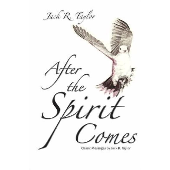 After The Spirit Comes