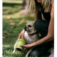 thumbnail image 5 of Dexas Mudbuster Pet Paw Washer for Dogs, Small Paw, Green, 5 of 5