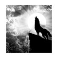 thumbnail image 1 of Juego de 2 Paneles de Ventana con Estampado 3D Sunnimix Cortina de poliéster 170x200cm, 1 of 8