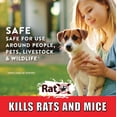 thumbnail image 5 of RatX Rat and Mouse Killer Pellets, 1 lb. Bag – Non-Toxic, Pet-Safe Rat Killer Poison for Indoor and Outdoor Use, 5 of 17