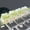 green-4pcs, variant on Translucent Gypsophila Dried Flower Keycaps for Cross-Axis Mechanical Keyboards -Unique and Stylish Keycap Accessories