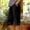Black, variant on Only Moment Women's Drawstring Sweat Shorts Cotton Sport Shorts Summer Athletic Cycling Hiking Sports Shorts Womens Cargo Shorts Black,S