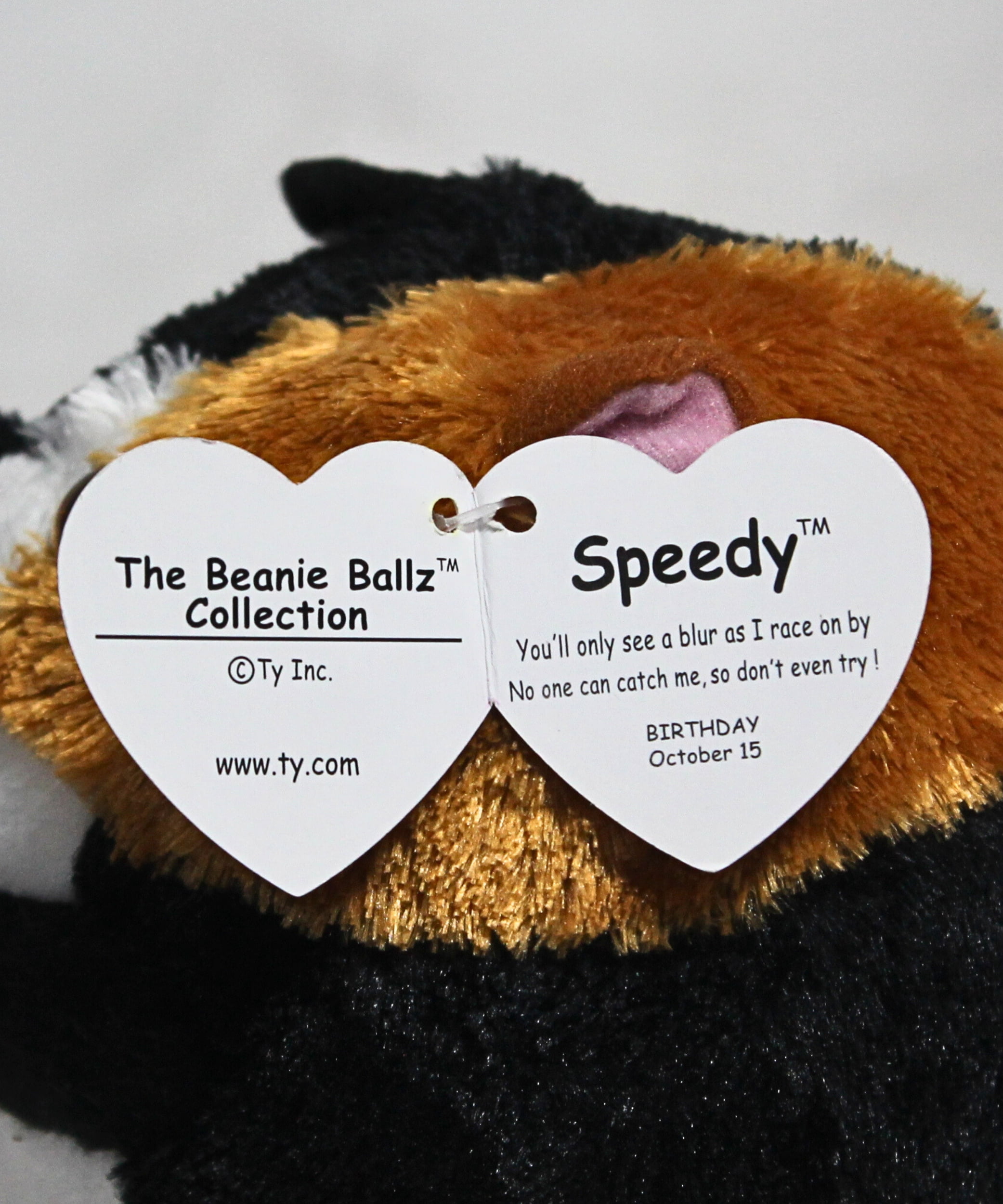 TY Beanie Ballz - SPEEDY the Guinea Pig (Regular Size - 5 inch)