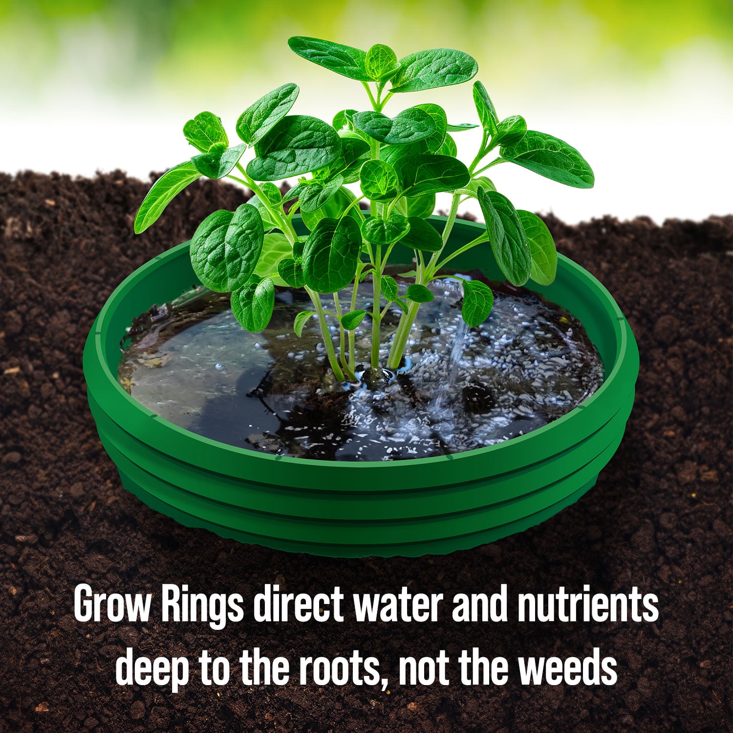 Rooted Promise Herbs Garden Kit Organic Herb Seed Starter Kit with Grow Rings and Greenhouse Domes 4pk