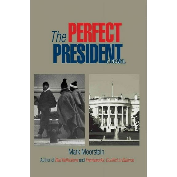 The Perfect President (Paperback)