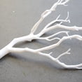 thumbnail image 3 of Lefu Branches de Corail Réalistes pour Décorations d'Halloween Bricolage Réservoir Plantes Remplissage de Vase, 3 of 8