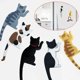 thumbnail image 2 of 7 unids lindo creativo multifunción gato de montaje en pared de la pared de gancho for el refrigerador pegatina de frigorífico Decoración de la red de la red gancho colgante, 2 of 6