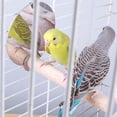 thumbnail image 1 of Bird Cage Standing Rod, Parrots Perch Toy Bird Mirror Perch, Pet Perch Mirror Parrots For Pet, 1 of 8