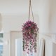 thumbnail image 4 of Flor artificial, plantas artificiales, decoración, flor simulada, violeta, verde, flor de seda, colgante de pared, borde, cesta colgante de ratán, accesorios de decoración de techo, violeta simulada, 4 of 5